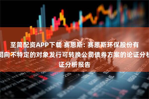 至简配资APP下载 赛恩斯: 赛恩斯环保股份有限公司向不特定的对象发行可转换公司债券方案的论证分析报告