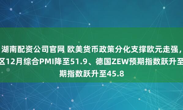 湖南配资公司官网 欧美货币政策分化支撑欧元走强，欧元区12月综合PMI降至51.9、德国ZEW预期指数跃升至45.8
