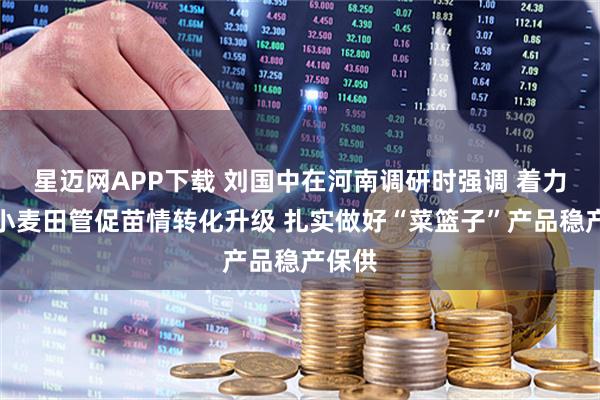 星迈网APP下载 刘国中在河南调研时强调 着力抓好小麦田管促苗情转化升级 扎实做好“菜篮子”产品稳产保供