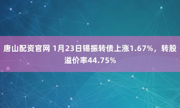 唐山配资官网 1月23日锡振转债上涨1.67%，转股溢价率44.75%