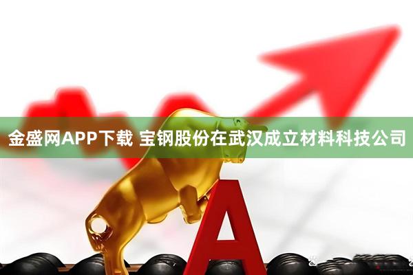 金盛网APP下载 宝钢股份在武汉成立材料科技公司